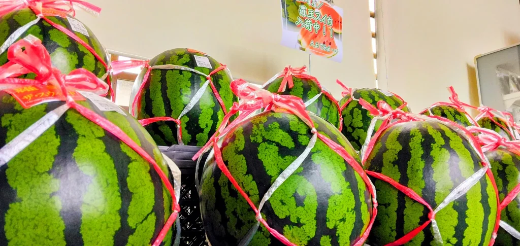 大玉スイカ入荷中